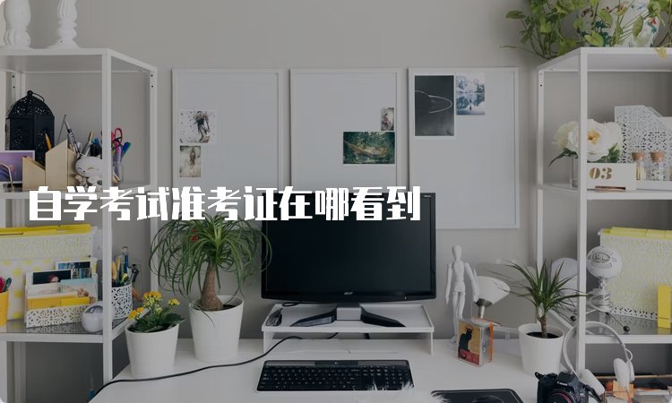 成考和自考费用是多少