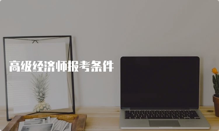 中级经济师是干啥的