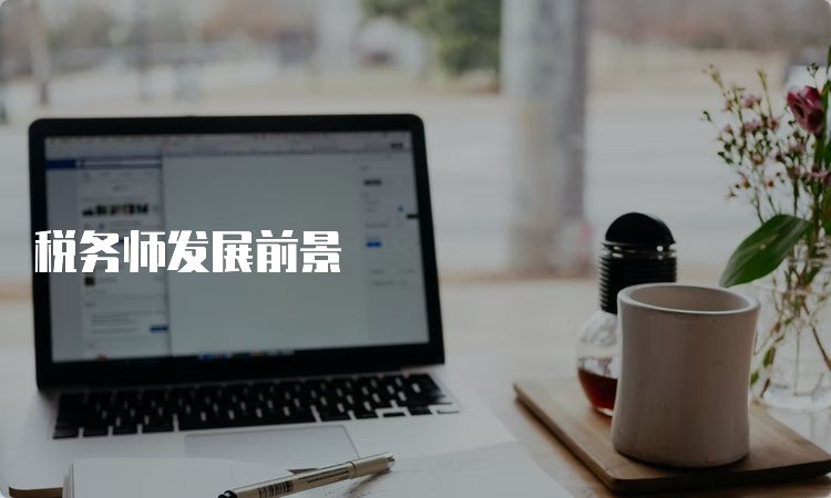 税务师发展前景