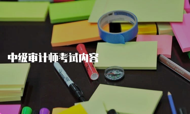 如何培养审计师京东影业影视传媒最新版