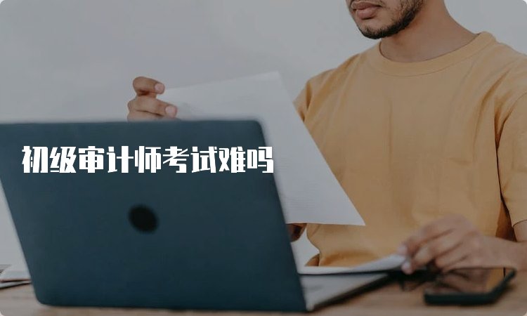 审计人员的工作内容