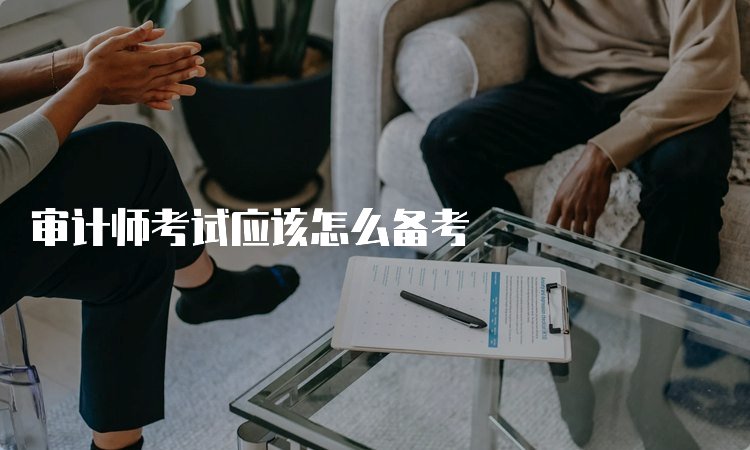 审计工作的重要性