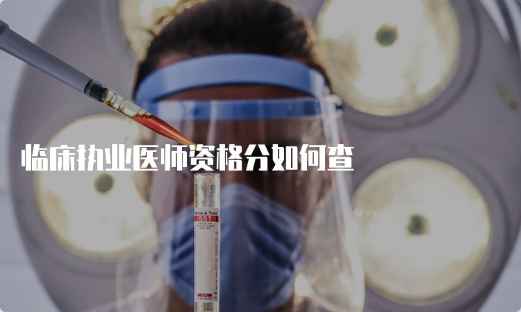 临床执业医师资格分如何查