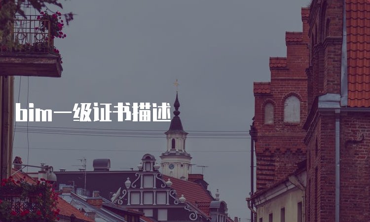 bim一级报名官网入口